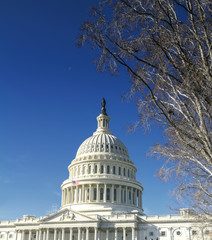 Washington DC Capitol building