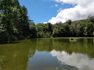 Lago Foresta Umbra