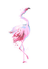 Obraz premium Beautiful female dancing pink flamingo smiling isolated on white background with pink splash for prints, fashion apparel, banners , bilboards
