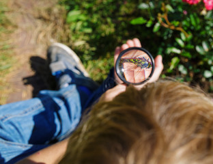 little boy exploring dragonfly with magnifying glass