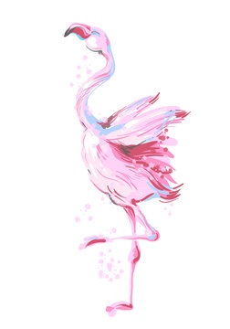 Beautiful male dancing pink flamingo smiling isolated on white background with pink splash for prints, fashion apparel, banners , bilboards