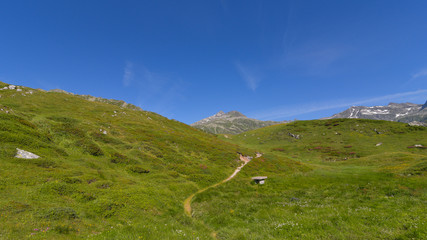 Prateria alpina a 2000 metri di altitudine, con cielo azzurro intenso