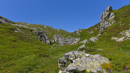 Fototapeta na wymiar Panorama della cima della montagna in estate