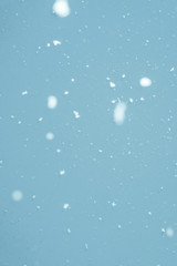 Obraz na płótnie Canvas Real snowflakes