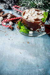 Obraz na płótnie Canvas Homemade hot chocolate with mint, candy cane and marshmallow, light blue background with warm blanket, copy space
