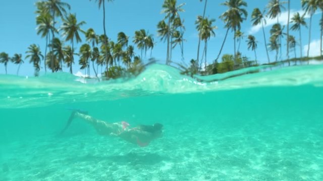 SLOW MOTION, HALF UNDERWATER, DOF: Female tourist on vacation in French Polynesia diving in the spectacular ocean near the picturesque palm tree beach. Young woman swims along tropical sandy beach.
