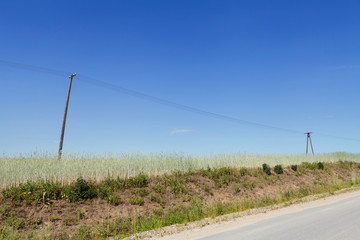 Old telephone line on the field of grain by the road