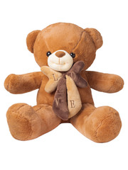 Brown Teddy bear with a bow