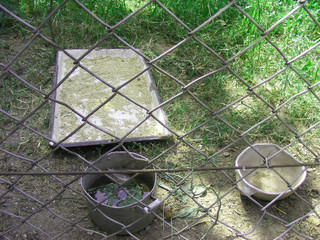 chicken coop at farm © chaiko