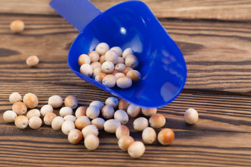 Raw olives in blue plastic scoop on old rustic wooden table