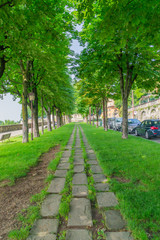 Footpath between trees along Viale delle Mura street in Bergamo, Italy.