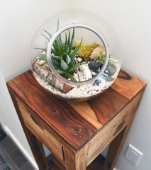 Terrarium on wooden stand