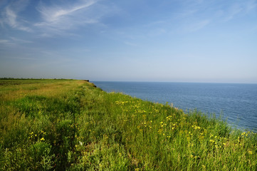 A wild cliff near the sea is overgrown with luscious green grass.
