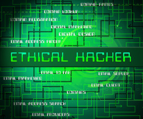 Ethical Hacker Tracking Server Vulnerability 2d Illustration