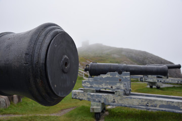 Canons in Newfoundland