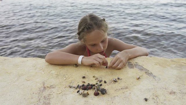 Little girl playing with Paguroidea on a beach