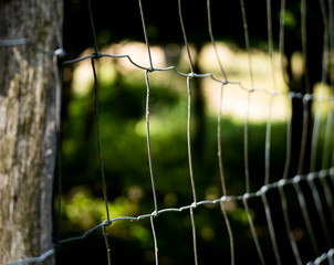 am Zaun entlang © Sulamith Sallmann