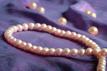 Pearls a necklace on purple silk fabric.