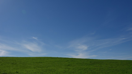 Fototapeta premium 青空と草原