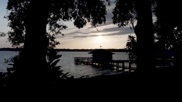 Sunset through trees