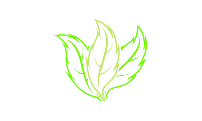 Green leaf logo template