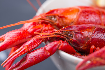Closeup of boiled crawfish in a bowl
