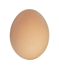 close up egg isolated