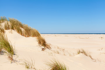 Dunes on the north sea