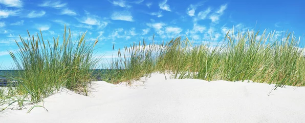 Poster Oostzeestrand met duinen en zeezicht © ExQuisine