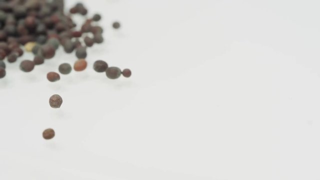 Mustard seeds on turntable. 
Marco footage of rotating black mustard grains.