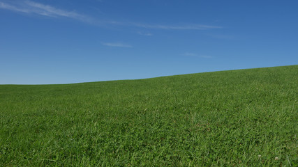 青空と草原