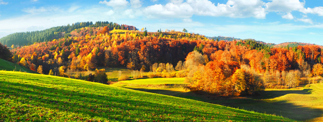 Schwarzwald im Herbst - obrazy, fototapety, plakaty