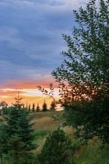 Obraz premium A beautiful colorful sunset in the countryside