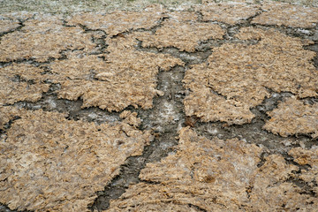 Dry landscape on delta of river Evros, Greece