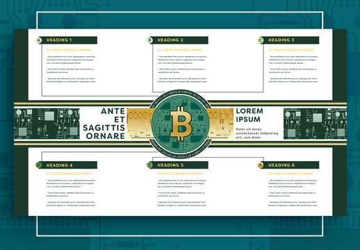 Bitcoin Infographic Layout