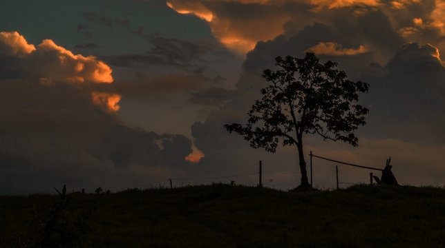 Ocaso