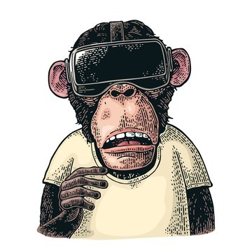 Monkey wearing virtual reality headset and t-shirt. Vintage color engraving