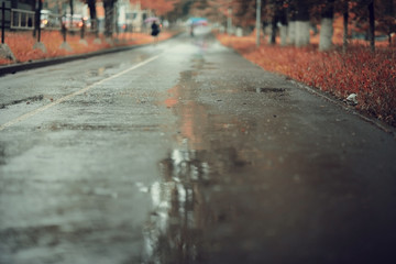 road path season nobody background