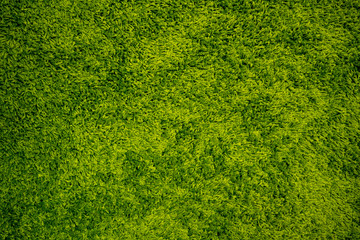 Green Carpet Background