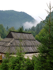 The roof of a small village house against the backdrop of beautiful coniferous trees and picturesque green mountains
