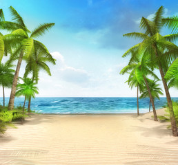 Fototapeta na wymiar sandy beach seaside with tropical palms