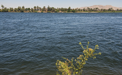 Obraz premium Large wide river nile at Luxor Egypt looking to West bank