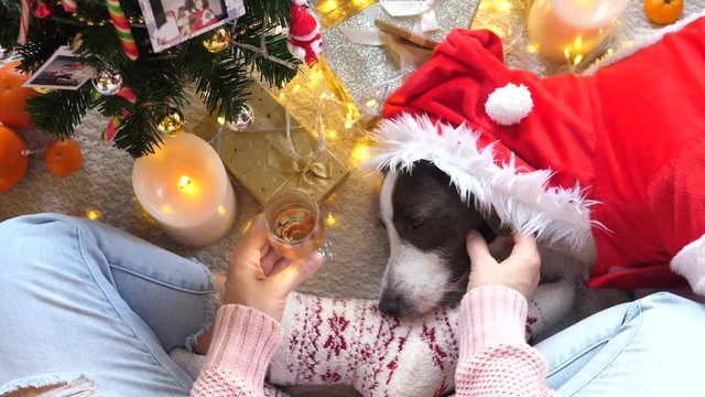 Homey Comfy Woman With Santa Dog Celebrating Christmas