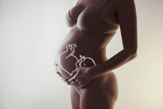 pregnant woman closeup of belly with visualisation of baby inside