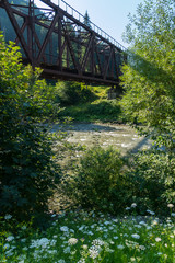 A railway bridge in a mountainous area going through a shallow fast river with thickets of bushes and flowers growing on the shore.