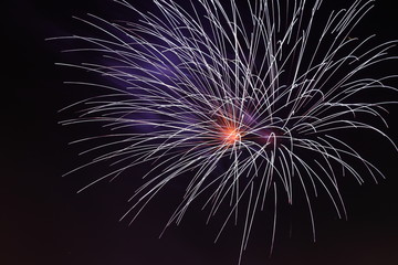 4th of July Fireworks with purple, red, and white burst.