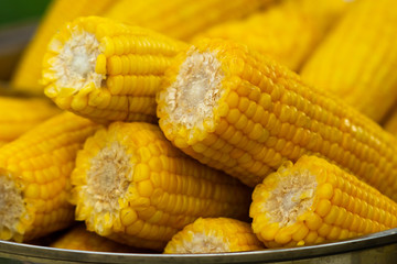 DELETE THIS FILE PLEASE