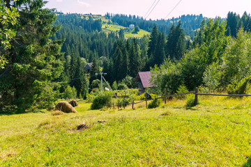 A path between a wooden fence and haystacks descending to a coniferous forest