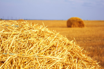 Fototapeta na wymiar haystacks after harvest on the field