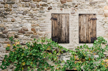 Wooden shutters above vines on stone wall - 213252196